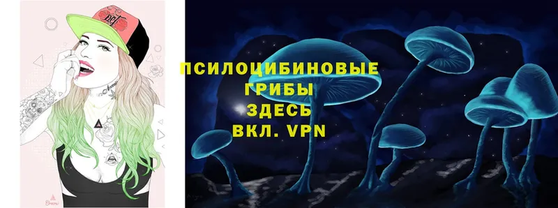 Псилоцибиновые грибы Psilocybine cubensis  магазин продажи   Калачинск 